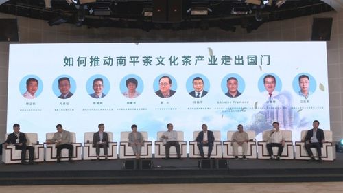 南平市茶文化茶產業國際交流合作研討會舞臺藝術造型策劃方案